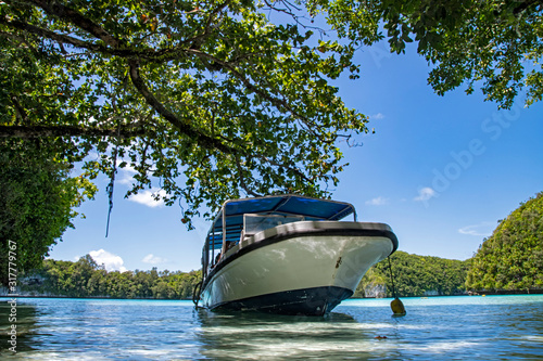 Palau, Rock Island, Motorboat mooted at tropical beach photo