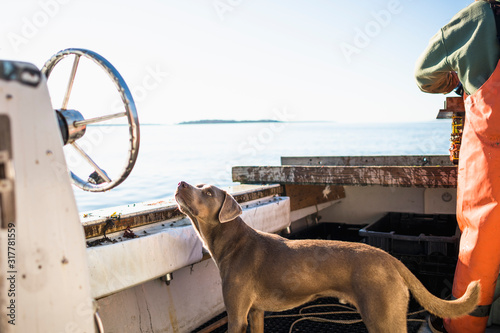 Boat dog joinig for Aquaculture shellfishing on Narragansett Bay