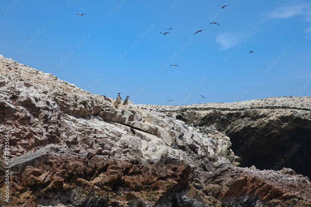 Unforgettable Ballestas Islands located off the Pacific coast of Peru near the town of Paracas known also like The Poor Man´s Galapagos. Unforgettable Ballestas Islands located off the Pacific coast of Peru near the town of Paracas known also like The Poor Man´s Galapagos.
