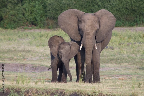 Mama and baby