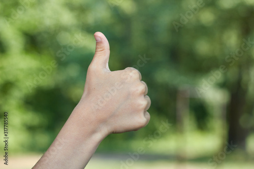 picnic thumb up hand sign baby hand showing thumb up, like ok positive hand gesture