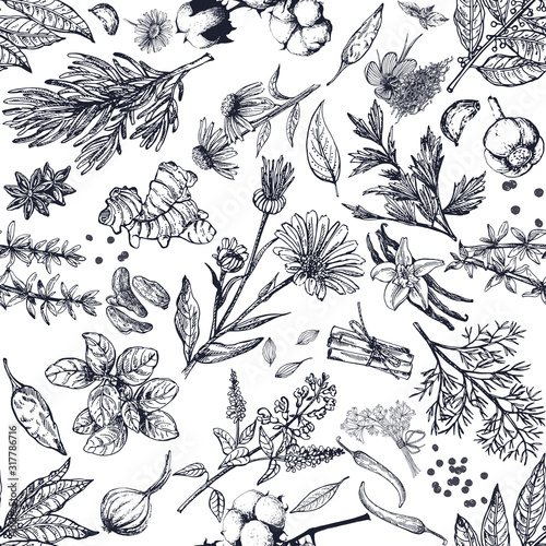 Seamless pattern of hand drawn sketch style different kinds of herbs and spices isolated on white background. Vector illustration.