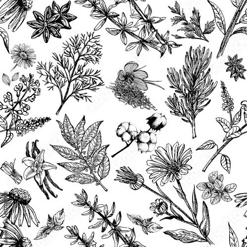 Seamless pattern of hand drawn sketch style different kinds of plants isolated on white background. Vector illustration.