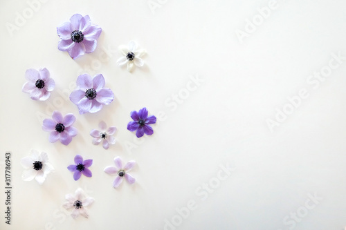 Beautiful purple anemone flower with tender petals on white table background with a lot of copy space for text. Top view  flat lay.