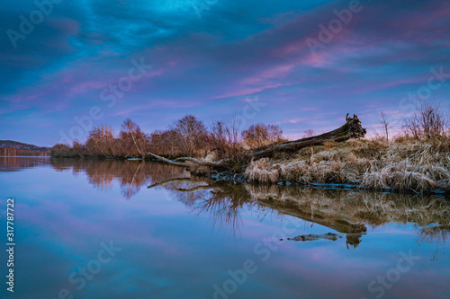 Powalone drzewo na brzegu jeziora Oyeren © Dreamnordno