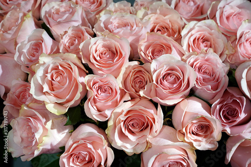 fresh natural pastel colored roses in a flower shop. Pile of flowers as background  texture  wallpaper