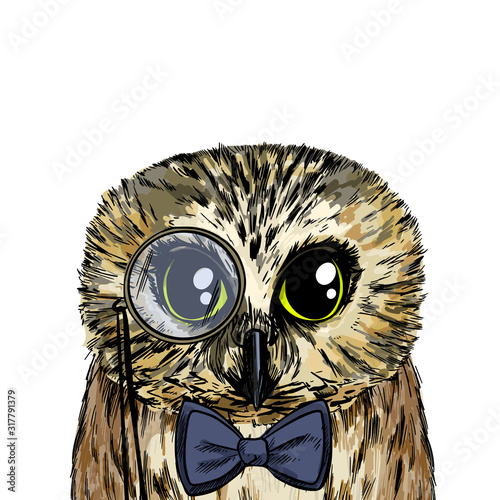 Cute smart owl with bow tie and monocle photo