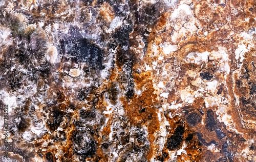 Glossy marble with brown, black and white patterns. A sample of natural marble with a pronounced texture.