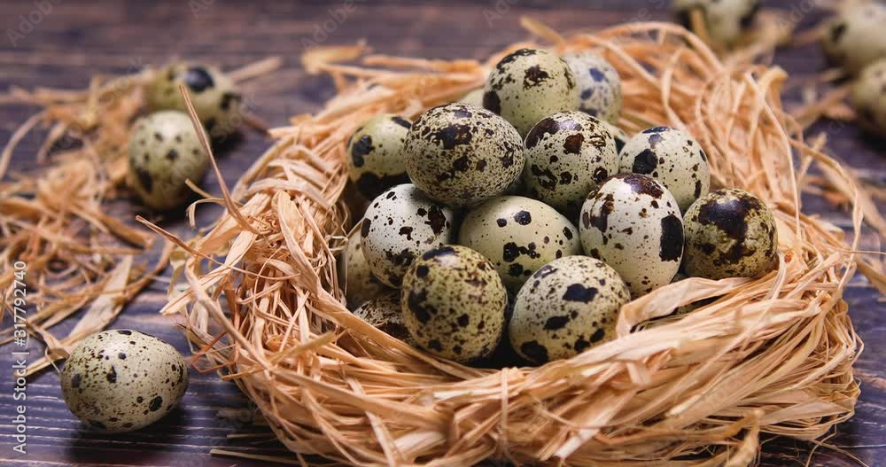 Organic quail eggs in nest on wood. Healthy food concept. Dolly shot 4k Organic quail eggs in nest on wood. Healthy food concept. Dolly shot 4k