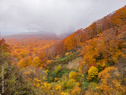 Beautiful fall color of the Lake Towada area © Kit Leong