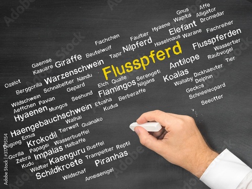 Photography Flusspferd