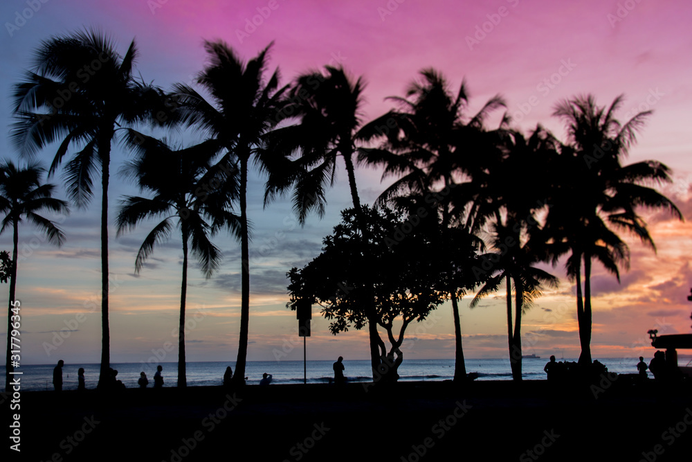 Obraz premium Palm trees in the sunset