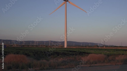 field of wind turbines at full capacity