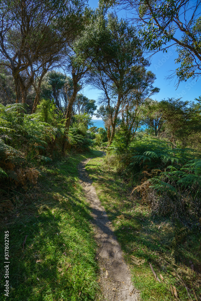 hiking the great ocean walk in victoria, australia hiking the great ocean walk in victoria, australia