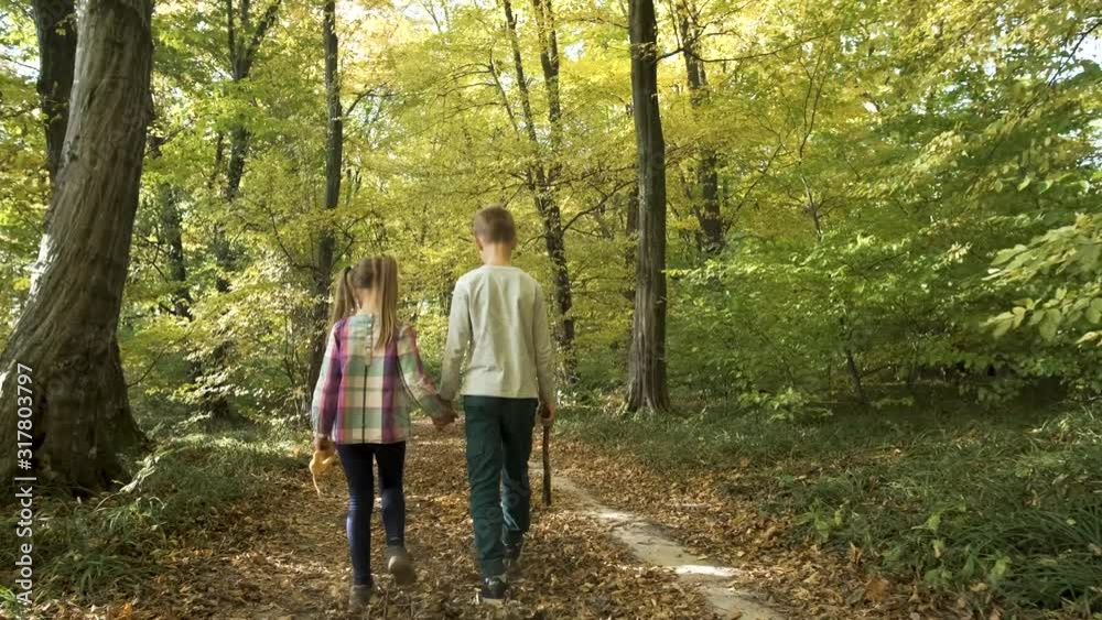 Two children walking holding hands in autumn forest with bright orange and yellow leaves. Dense woods in sunny fall weather. Two children walking holding hands in autumn forest with bright orange and yellow leaves. Dense woods in sunny fall weather.