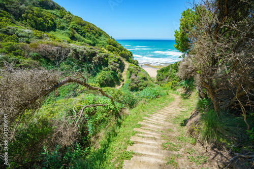 hiking the great ocean walk in victoria, australia