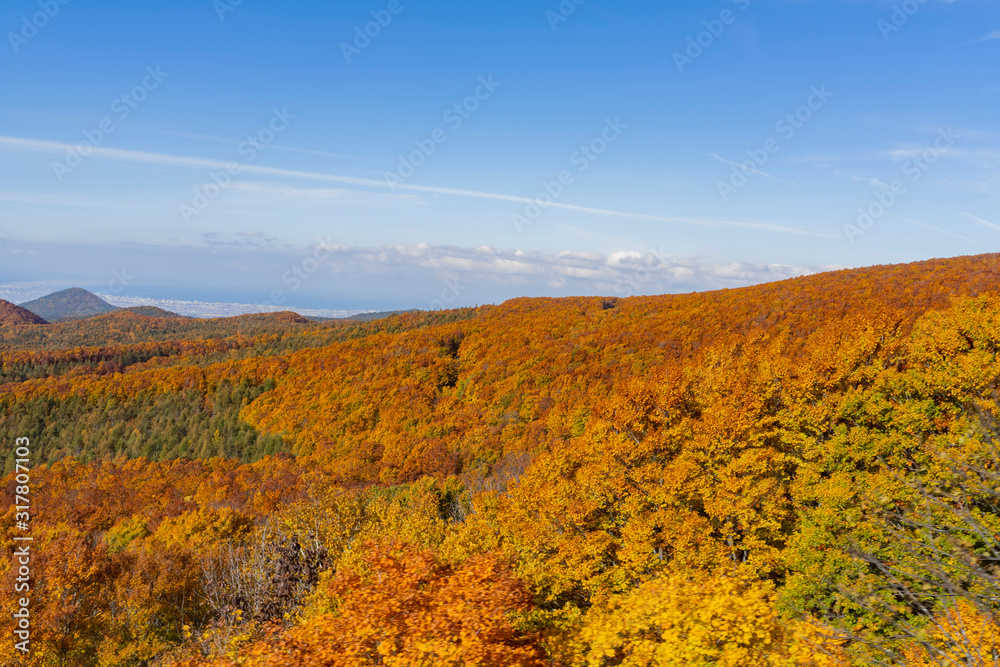 Aerial fall color of the Hakkoda Mountains Aerial fall color of the Hakkoda Mountains