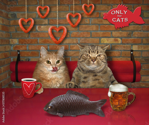 Print op canvas The two of cats in love are sitting at the table in a cafe
