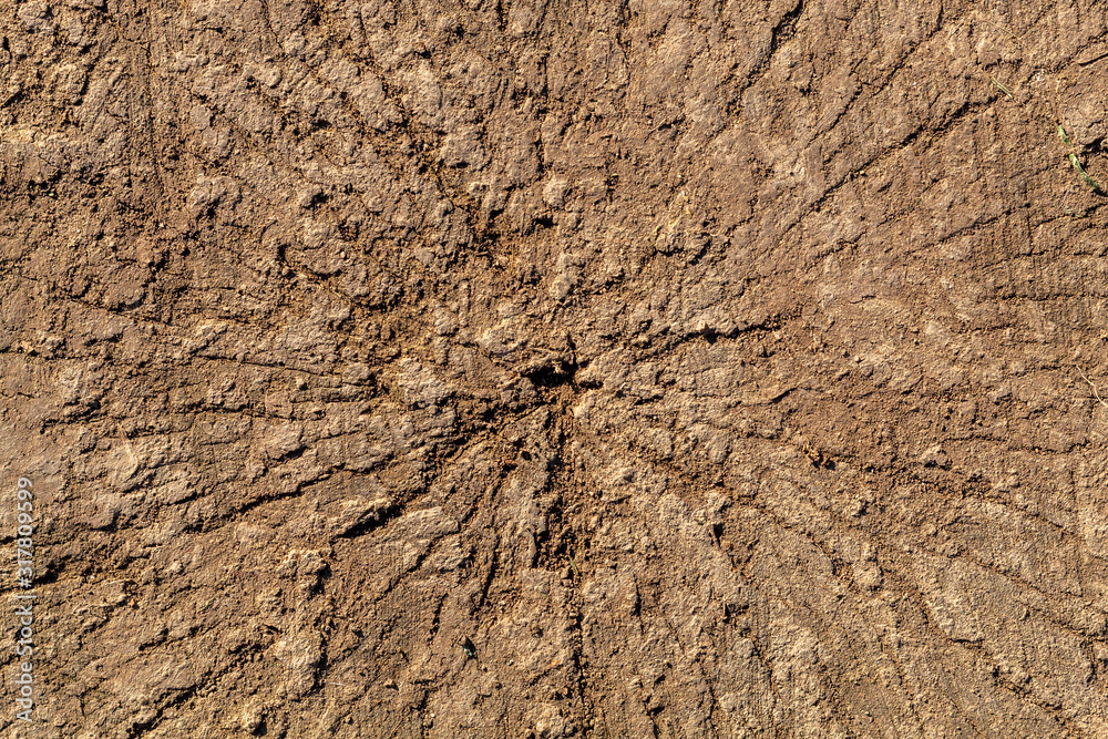 Old Weathered Cracked Wood Texture Old Weathered Cracked Wood Texture