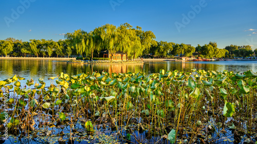 Shichahai historic scenic area consisting of three lakes in central Beijing, China, with temples, palaces and gardens photo