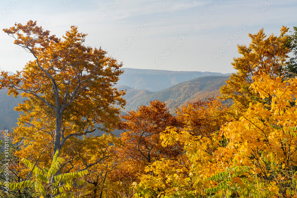 Fall color of the Hakkoda Mountains