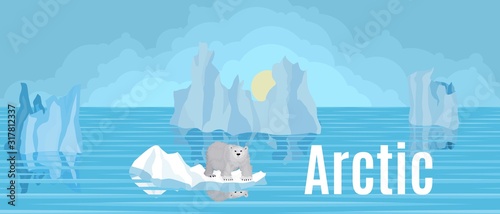Arctic bear on an ice floe in the north