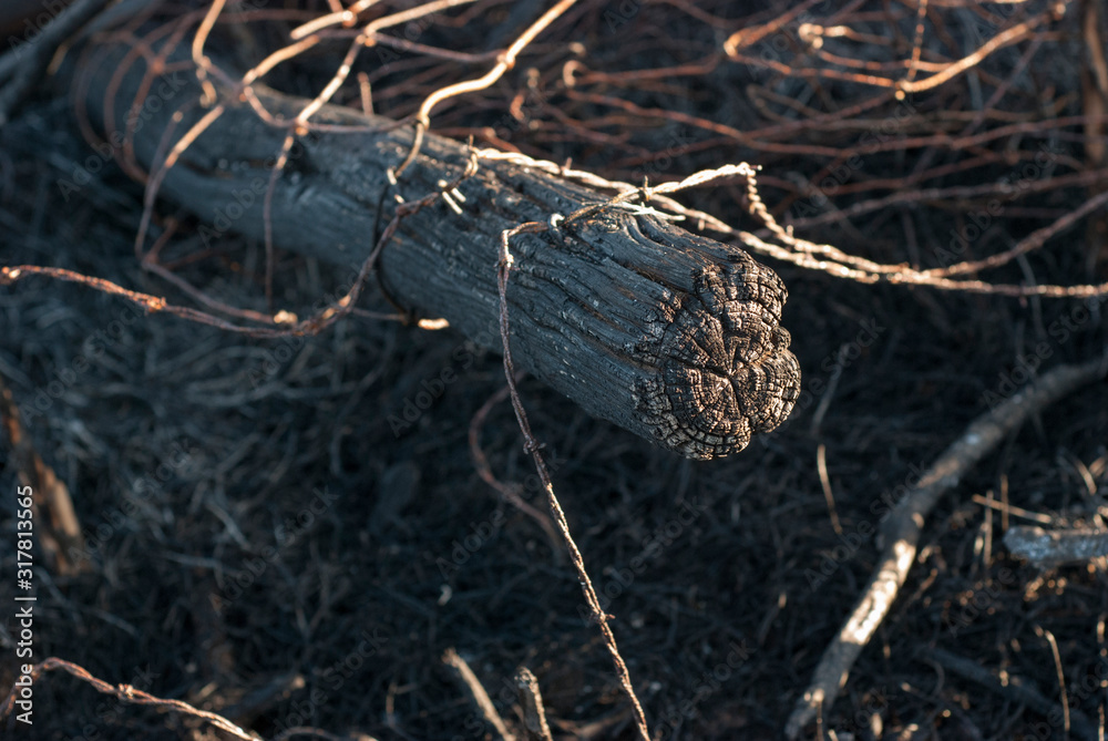 Fence Post After Controlled Burn Fence Post After Controlled Burn