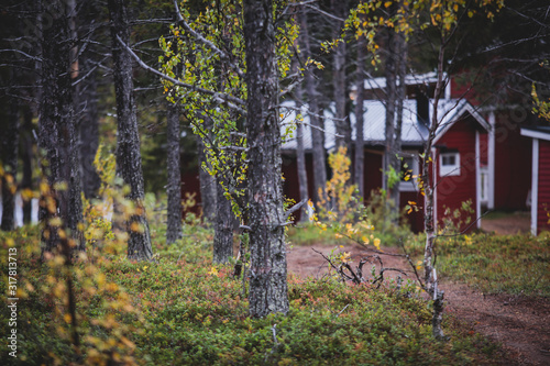 View of Classical swedish Camping site with traditional wooden red cabin cottage houses, Lapland, Northern Sweden