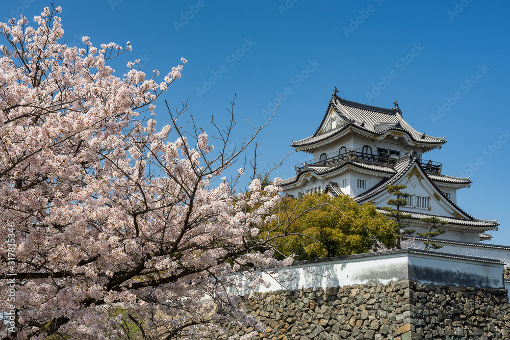 Kishiwada castle (Chikiri Castle) built in 16th century, Kishiwada city, Osaka Prefecture, Japan Kishiwada castle (Chikiri Castle) built in 16th century, Kishiwada city, Osaka Prefecture, Japan