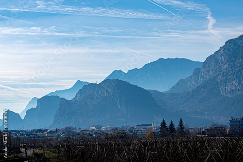 Cultivation of apples in Trentino downstream of the Alps skyline