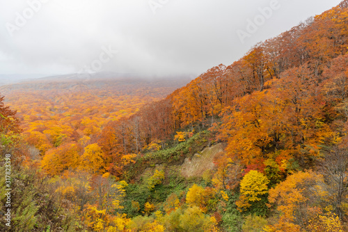 Beautiful fall color of the Lake Towada area