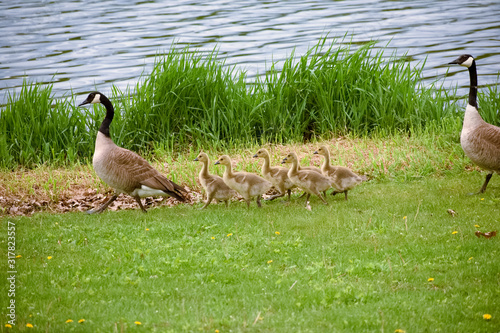 Φωτογραφία Hickory Hills Park Iowa