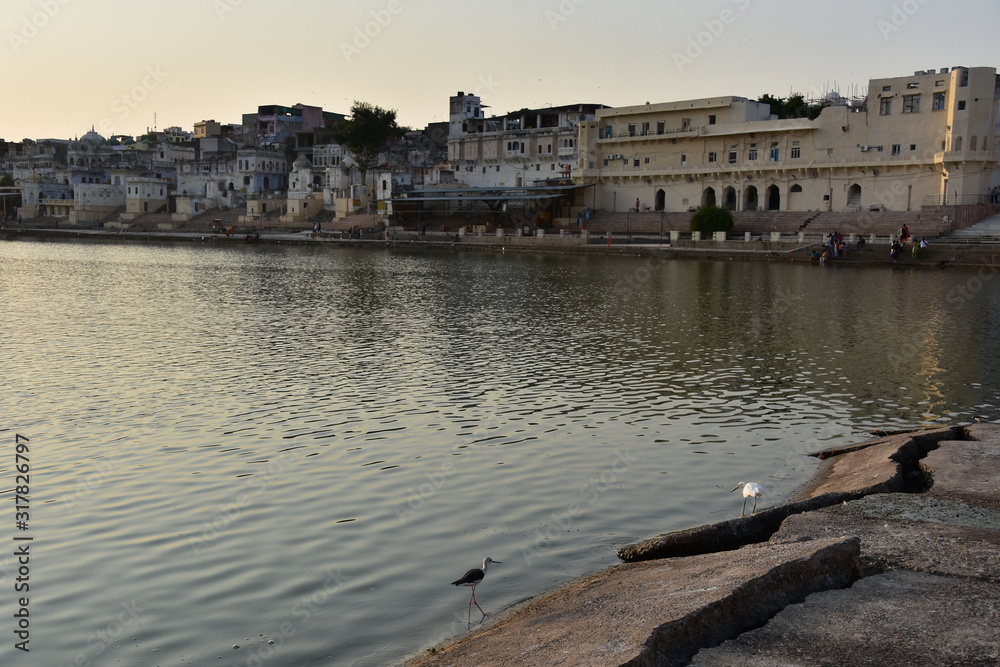 Obraz premium インドのラジャスタン州のプシュカル 夕暮れのプシュカル湖と街並み 湖岸で休憩する野鳥の群れ