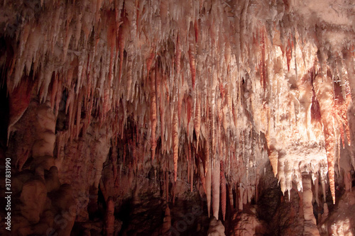 A ceiling of a cave with many straws and stalactites. Purple and pink light. Yarrangobilly Caves, Kosciuszko National Park, NSW, Australia.