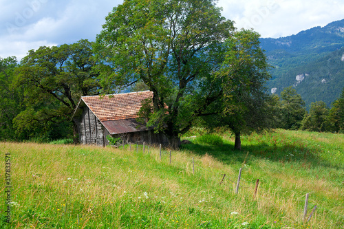 old wooden house in countryside