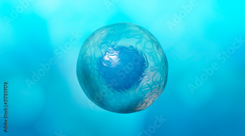 Medically Accurate Illustration of Human Cells  3D Rendering