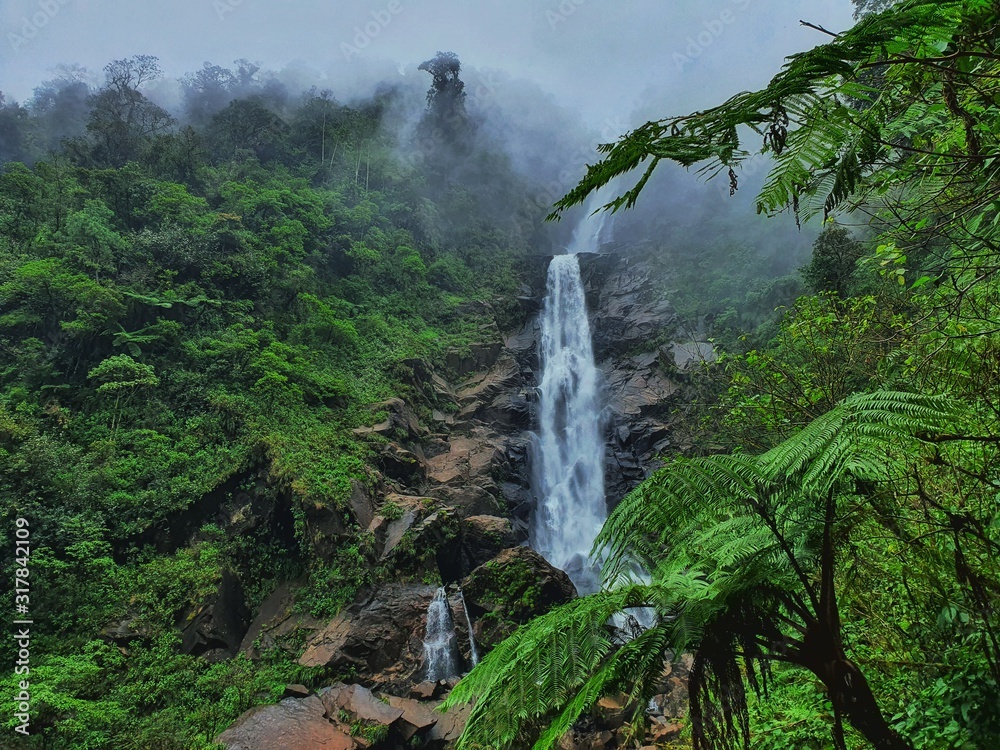 Obraz premium waterfall in deep forest