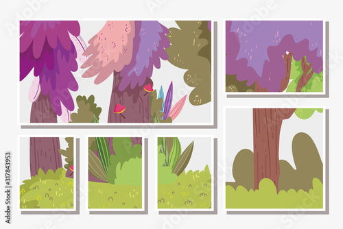 landscape nature foliage ecology environment forest theme cards