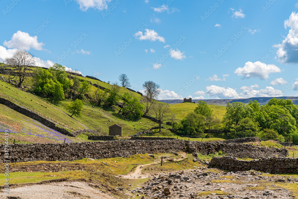 Obraz premium The remains of Sir Francis Level near Gunnerside, North Yorkshire, England, UK