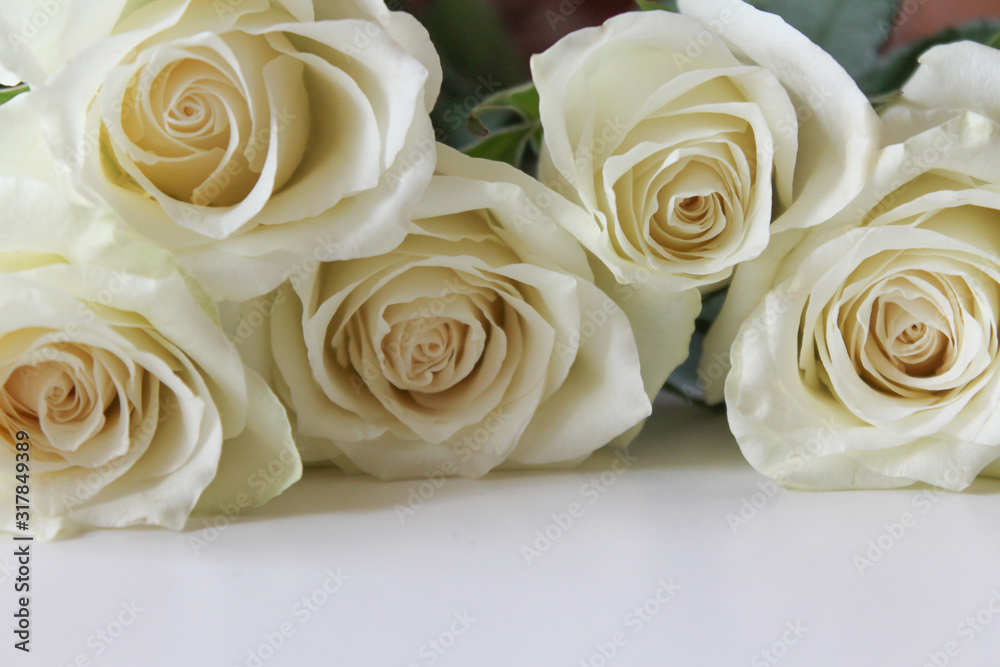 Bunch of white roses close up on blank surface. Backdrop for Saint Valentine's Day, International Women's Day, Mother's Day. Romantic greeting card, poster, invitation template Bunch of white roses close up on blank surface. Backdrop for Saint Valentine's Day, International Women's Day, Mother's Day. Romantic greeting card, poster, invitation template