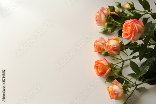 Bunch of orange roses on blank white surface with copy space for text. Backdrop for Saint Valentine's Day, International Women's Day, Mother's Day. Romantic greeting card, poster, invitation template