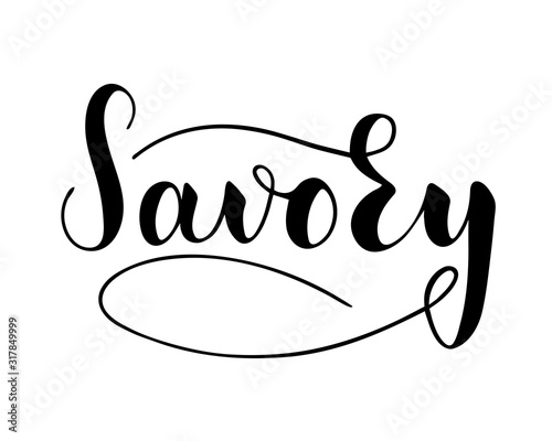 Vector hand written savory text isolated on white background. Kitchen healthy herbs and spices for cooking. Script brushpen lettering with flourishes. Handwriting for banner, poster, product label