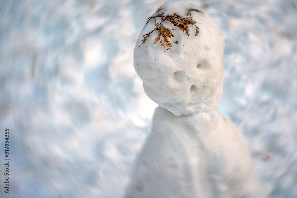 Obraz premium Bonhomme De Neige Figé Pour L'éternité.