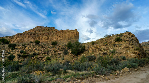 Barrier Sego Canyon, Utah   photo