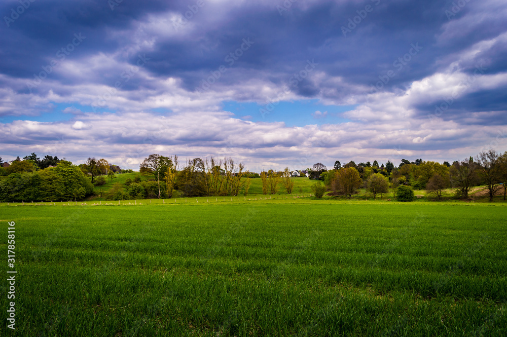 landscape with green field and blue sky