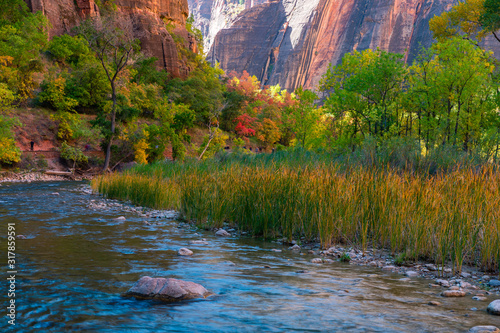 Canyon View along Virgin River in Zion National Park Utah