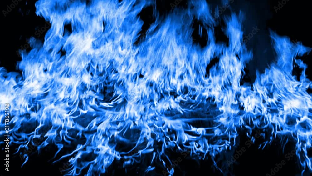 blue Fire flame loop animation Stock Video | Adobe Stock