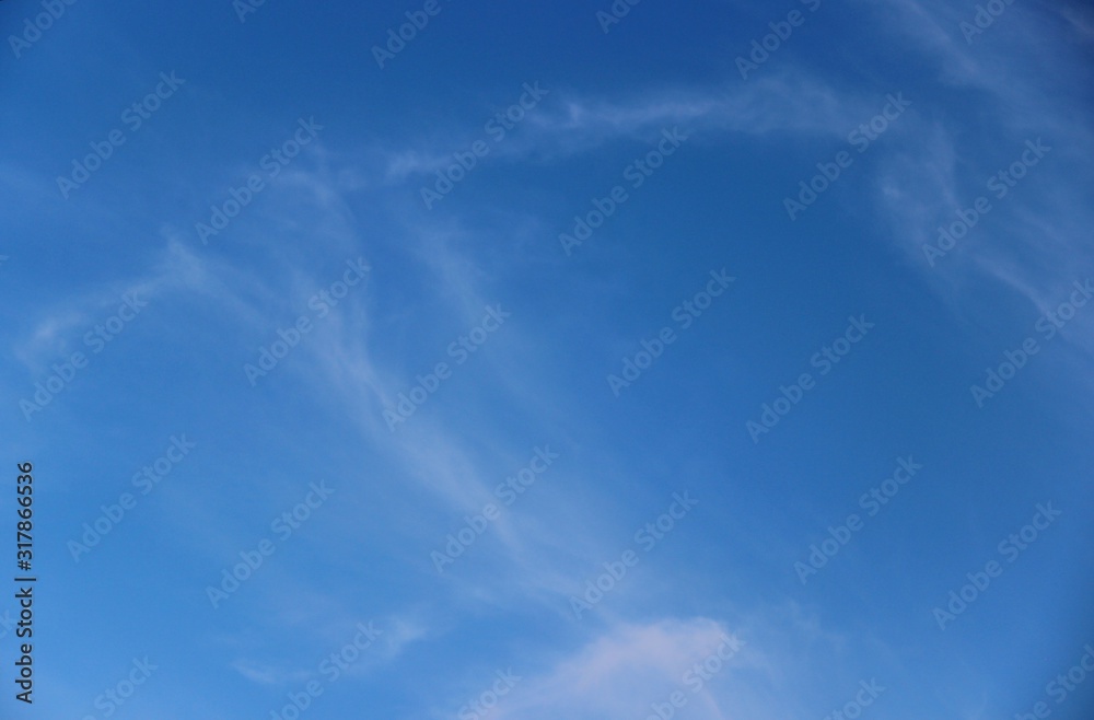 Obraz premium blue sky with white feather clouds