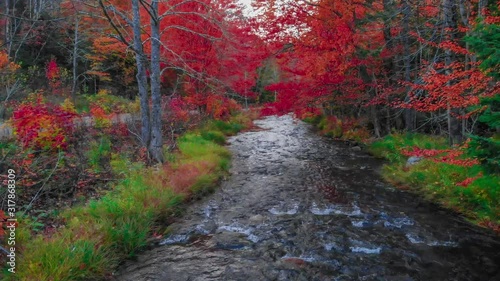 Forest River and Fall Foliage in North America