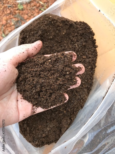 Organic fertilizer bat guano on hand. photo